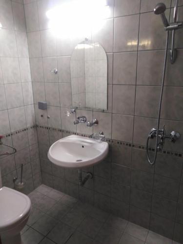 a bathroom with a sink and a mirror and a toilet at Вила Родопи in Dospat