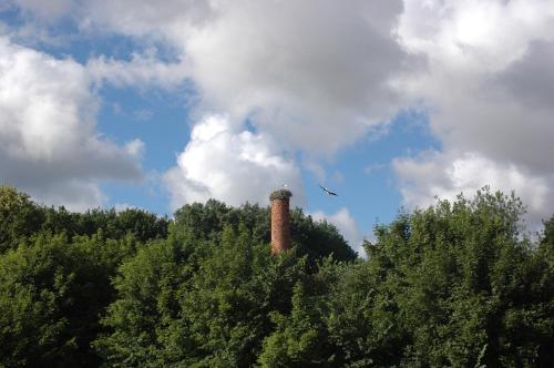 a bird flying over trees with a smoke tower in the sky at Domek TRZY BABY in Dołgie