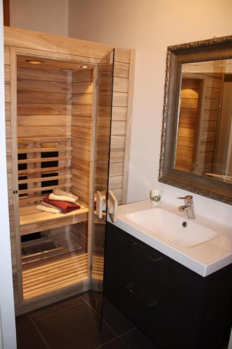 a bathroom with a sink and a shower at Gastenverblijf Lheederhof Lodges in monumentale boerderij in Dwingeloo
