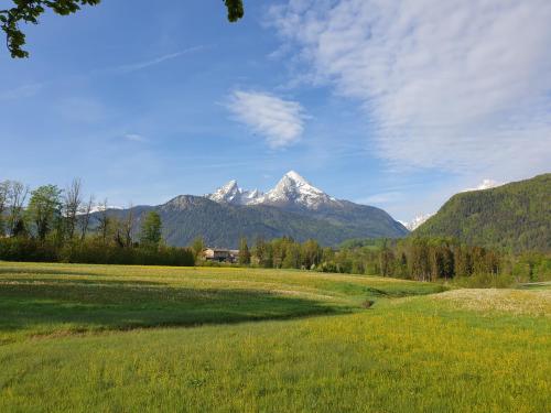 a mountain in the distance with a green field and trees at Ferienwohnung Sunnwinkel in Bischofswiesen
