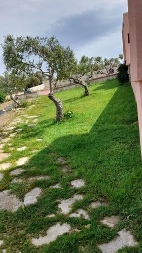 a grassy field with trees on the side of a building at Georgioupoli Studios in Georgioupolis