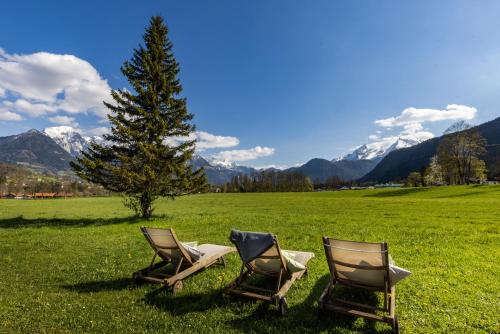 two chairs in a field with a tree and mountains at Wassererlehen in Bischofswiesen