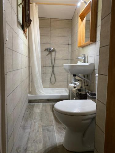 a bathroom with a toilet and a sink and a shower at EXCEPTIONNEL, maison de vacances dans parc, climatisation, parking, calme assuré in Marseille