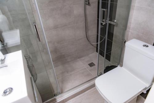 a bathroom with a shower with a toilet and a sink at Pnyka Apartment 3 in Athens