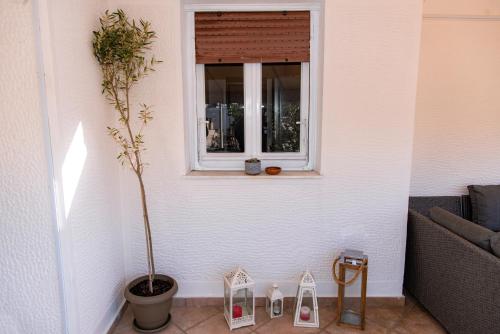 a plant in a pot next to a window at Pnyka Apartment 3 in Athens