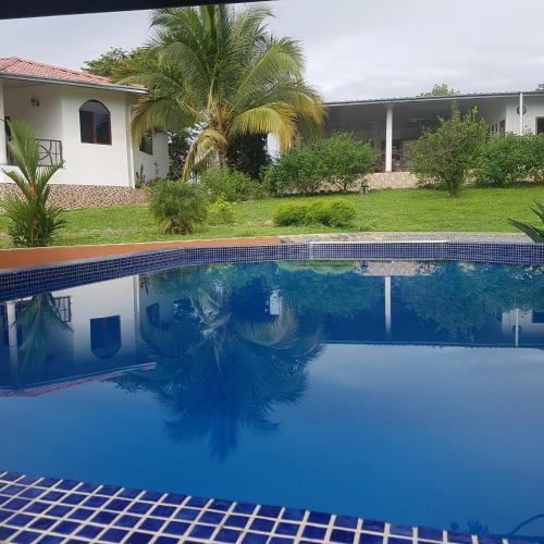 a swimming pool in front of a house with a palm tree at Magic Mountain Lodge in Las Lajas