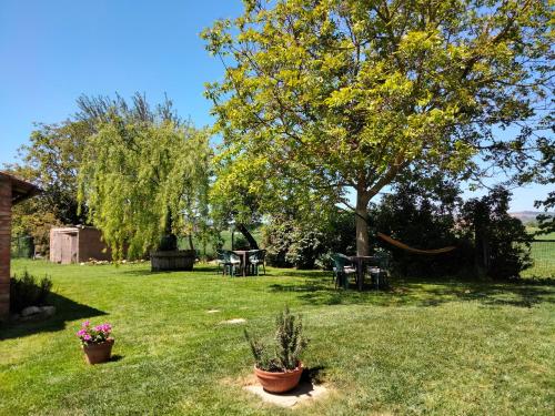 a yard with a tree and tables and chairs at Podere Alberello in Torrita di Siena