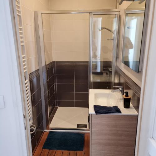 une salle de bain avec douche et lavabo dans l'établissement Chez Fifi - Hyper centre à 200 m de la cathédrale, à Reims