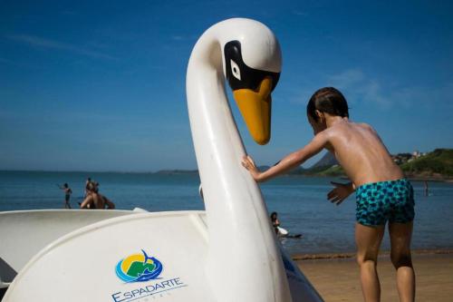 a young boy playing with a swan on the beach at Hotel Espadarte in Iriri