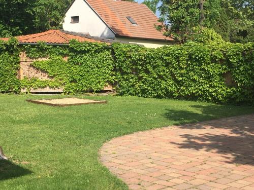a yard with a brick walkway in front of a house at KATÓ APARTMAN in Siófok