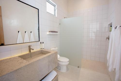 El Pescadero的住宿－Pacific Suite，一间带水槽、卫生间和镜子的浴室