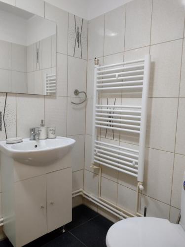 a white bathroom with a sink and a toilet at Casa Radu Novaci in Novaci-Străini