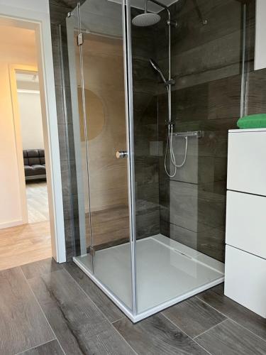 a shower with a glass door in a bathroom at Pension Eckert in Zwenkau