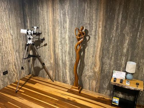 a camera on a tripod in front of a wall with a camera at Sweet Jungle in Quesada