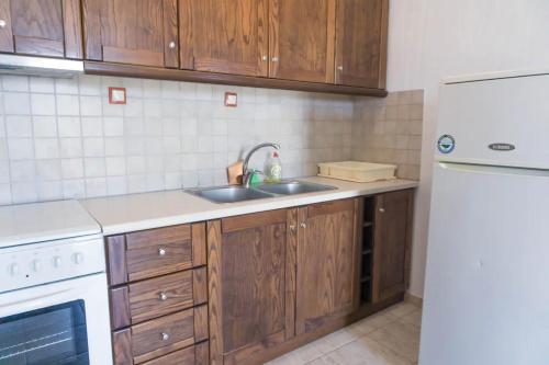eine Küche mit Holzschränken, einer Spüle und einem Kühlschrank in der Unterkunft Katerina's Houses #2 in Alonnisos Altstadt