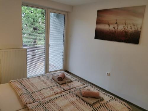um quarto com uma cama e uma janela grande em Jaka Apartments em Bled