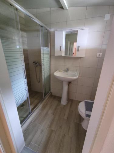 ein Bad mit einer Dusche, einem Waschbecken und einem WC in der Unterkunft House Theofilos in Paramonas
