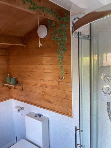 a bathroom with a toilet and a wooden wall at Roslin Glamping in Roslin