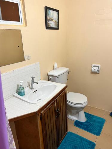 a bathroom with a sink and a toilet at Shirvan Holiday Apartments Studio in Canaan