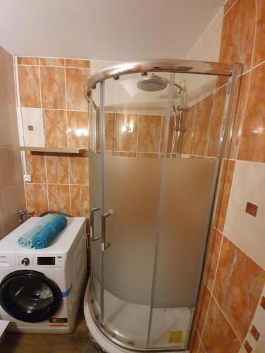 a shower in a bathroom with a washing machine at La Loge du château ! "climatisé" in Gréoux-les-Bains