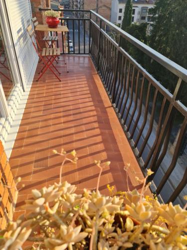a wooden deck with a plant on a balcony at marsupilami in Pobla de Segur