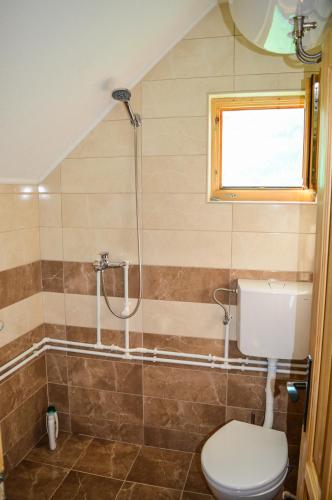 a bathroom with a toilet and a shower at Tara Valley Eco Lounge in Mojkovac