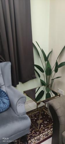 a living room with a chair and a table with a plant at Cikgu Azue Homestay in Ampang