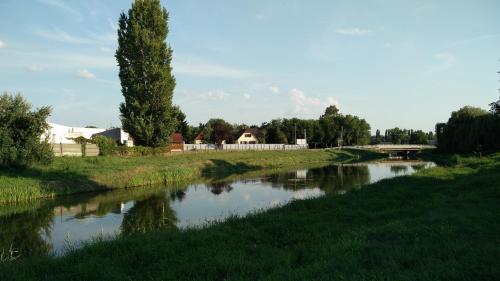 a river with a tree and a house in the background at River Side Apartman in Kalocsa
