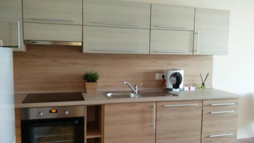 A kitchen or kitchenette at River Side Apartman