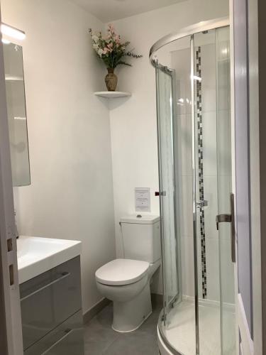 a bathroom with a toilet and a glass shower at Villa hortensia in Carpentras