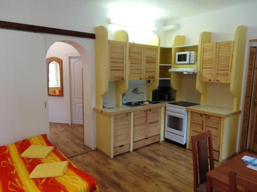 Kuchyňa alebo kuchynka v ubytovaní Apartmány Ilona