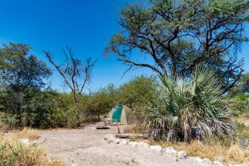 a tent and a chair in a field with trees at Semowi Lodge and Campsites in Mirapene