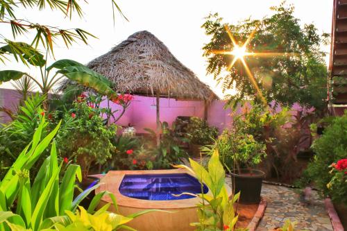 Zahrada ubytování Pink Villa Mamallapuram