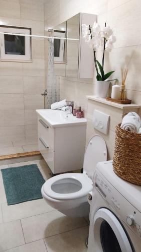 a bathroom with a toilet and a sink and a washing machine at Apartment Frana DeLux in Kremena