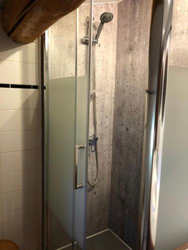une douche avec une porte vitrée dans une salle de bain dans l'établissement Secheras: House / Villa - Sècheras, à Sécheras