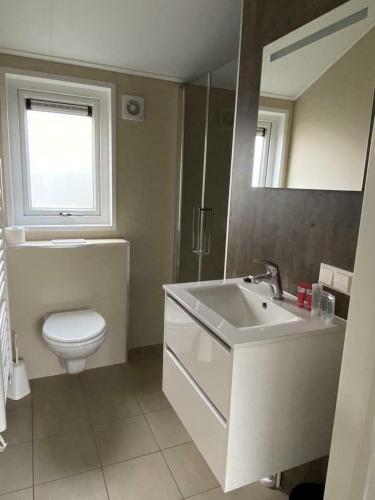 a bathroom with a toilet and a sink and a mirror at Luxe en gezellig chalet aan Veluwemeer 4 pers in Hulshorst