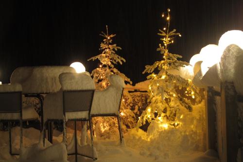 a christmas yard with christmas trees and lights at Braugasthof Glocknerblick in Kals am Großglockner