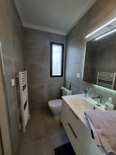 a bathroom with a sink and a toilet and a mirror at Charmant studio moderne avec extérieur "Dormir en provence" in Fontvieille