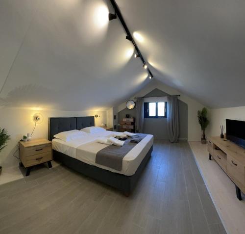 a large bedroom with a large bed and a television at Pasithea Sea Front in Lygia