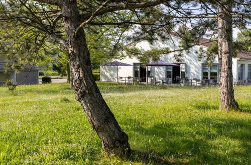 two trees in the grass in front of a house at The Originals City, Hôtel Mâcon Nord in Mâcon