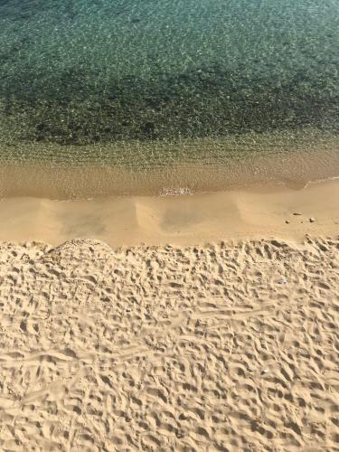 an aerial view of a sandy beach with the ocean at Hotel de la Plage Santa Vittoria in Algajola