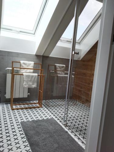 a skylight in a bathroom with a shower and a rug at Apartamenty Równia 2 in Ustrzyki Dolne
