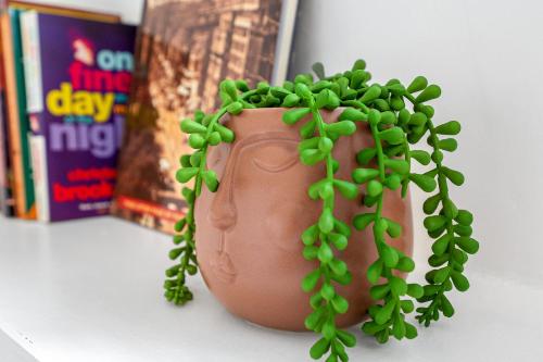 a vase with a green plant growing out of it at Cheerful Stays - Livingston - 4 Bedroom 3 Bath home in Livingston