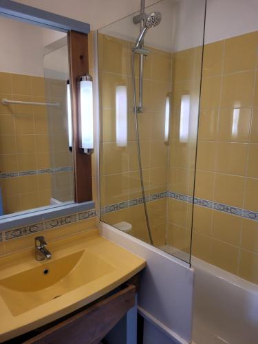 uma casa de banho com um lavatório e um chuveiro com um espelho. em Village Belle Dune Fort-Mahon plage em Fort-Mahon-Plage