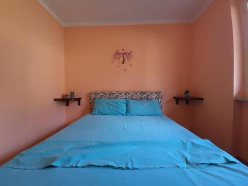 een slaapkamer met een blauw bed met 2 kussens bij Lovely 1bedroom apartment central valley location in Aosta