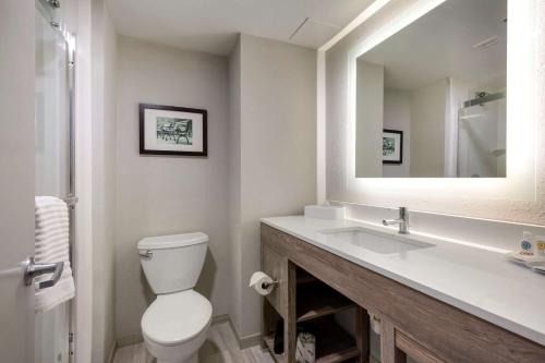 Comfort Inn & Suites Alexandria West tesisinde bir banyo