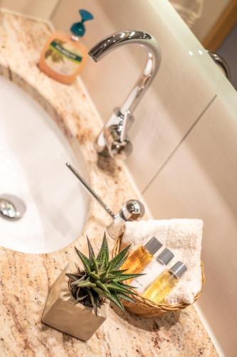 a bathroom sink with a plant in a basket at Hotel Alpspitz B&B in Grainau