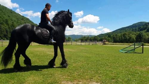 a man riding a black horse in a field at Aroa Mountain in Zărneşti