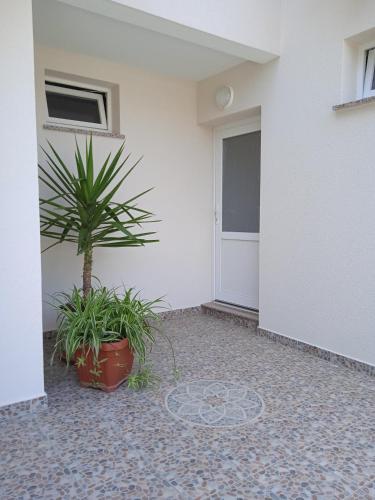 Apartments Renco