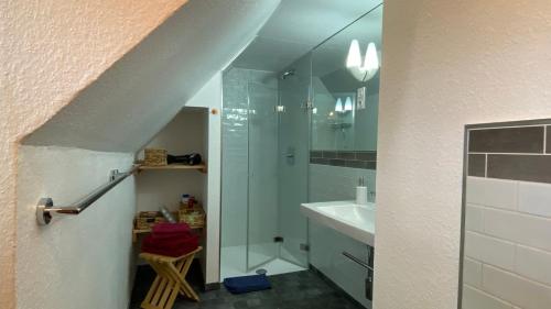 ein Bad mit einer Dusche und einem Waschbecken in der Unterkunft Hof Rahlf im Naturpark Aukrug in Hennstedt